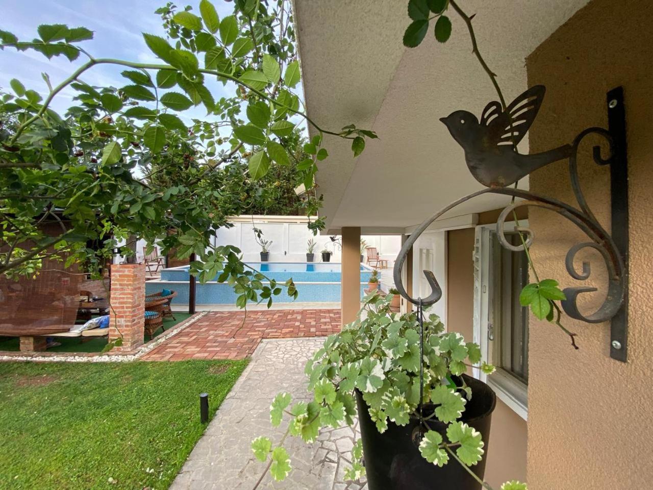 Villa Nikola Kotor Ngoại thất bức ảnh