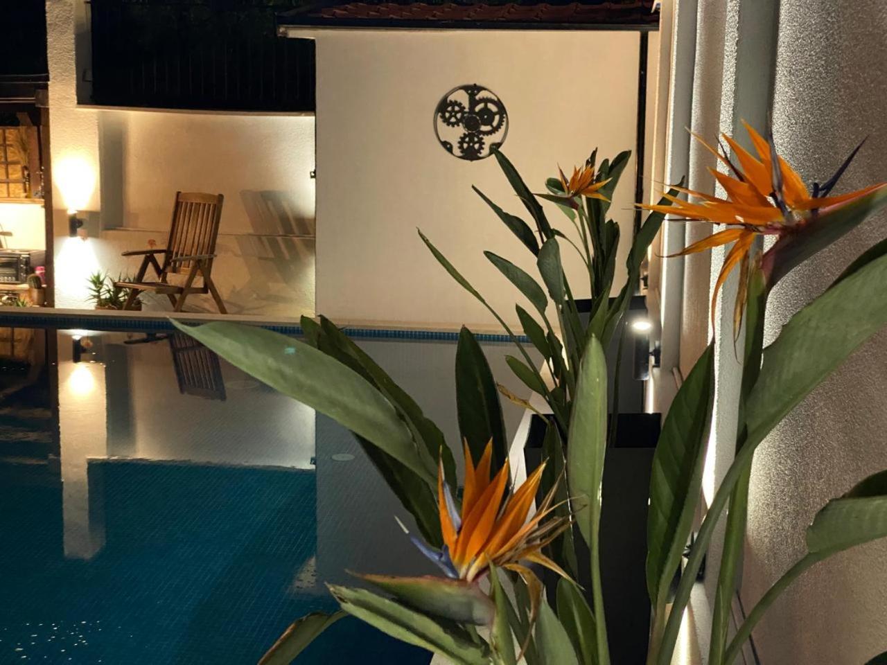 Villa Nikola Kotor Ngoại thất bức ảnh