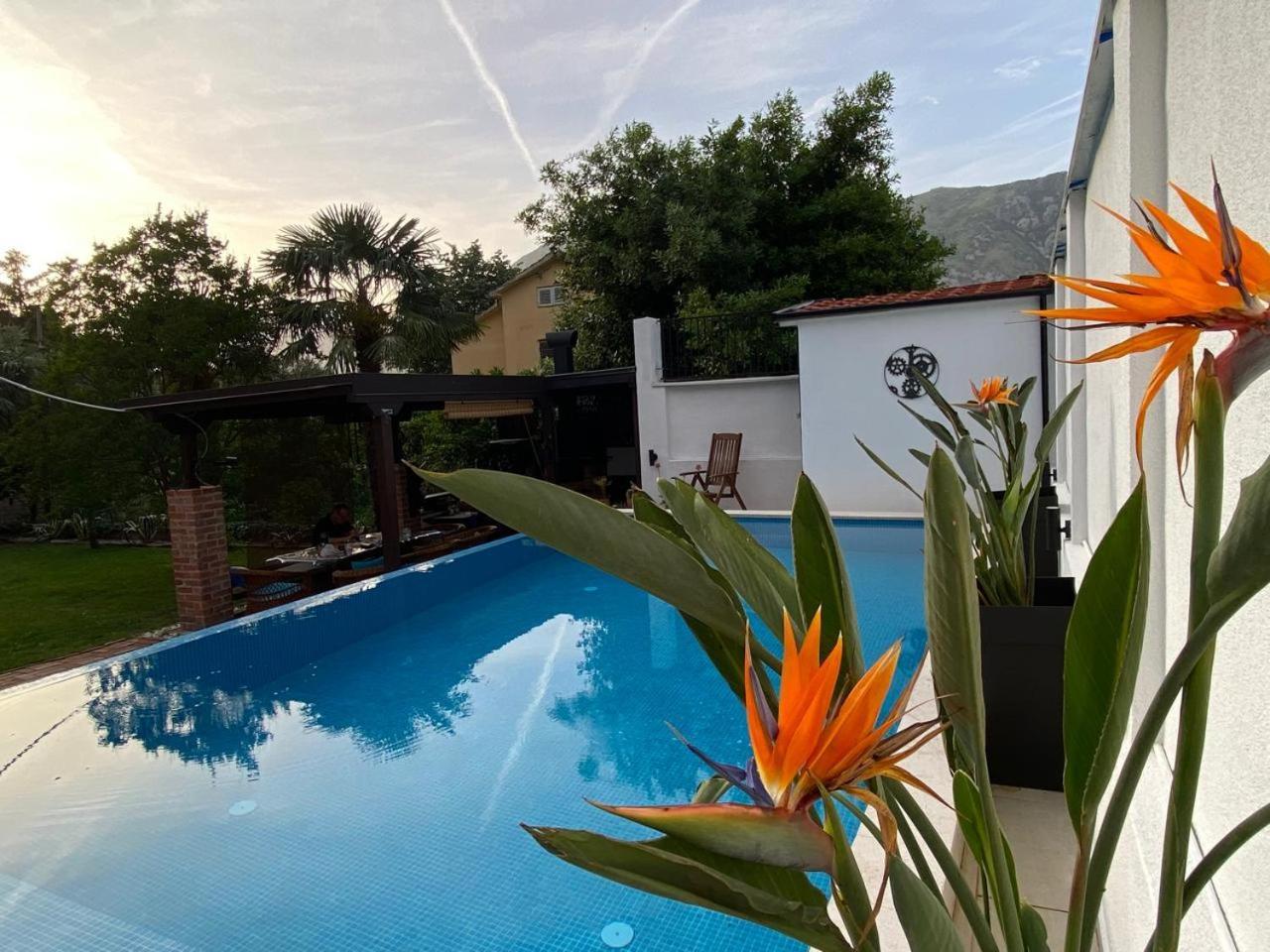 Villa Nikola Kotor Ngoại thất bức ảnh